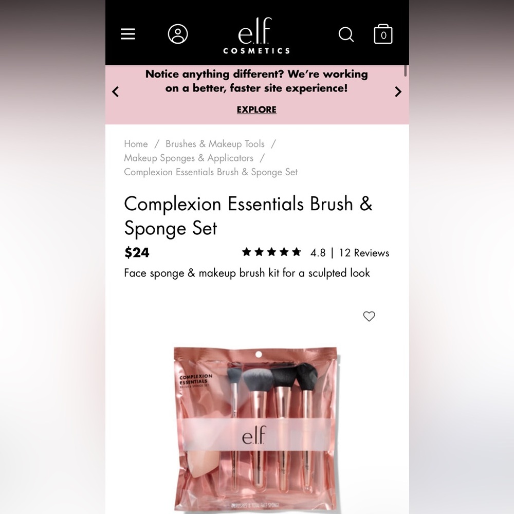 Complexion Essentials Brush & Sponge Set